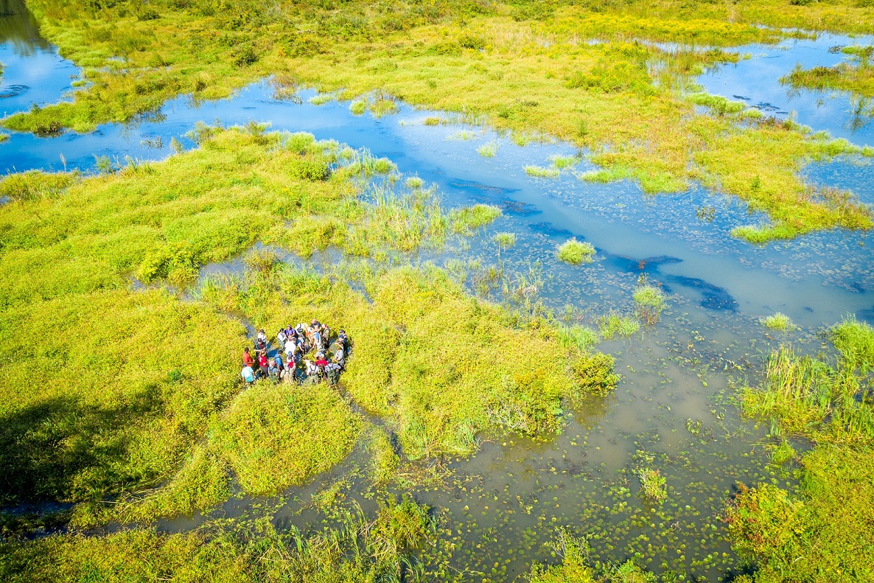 wetlands