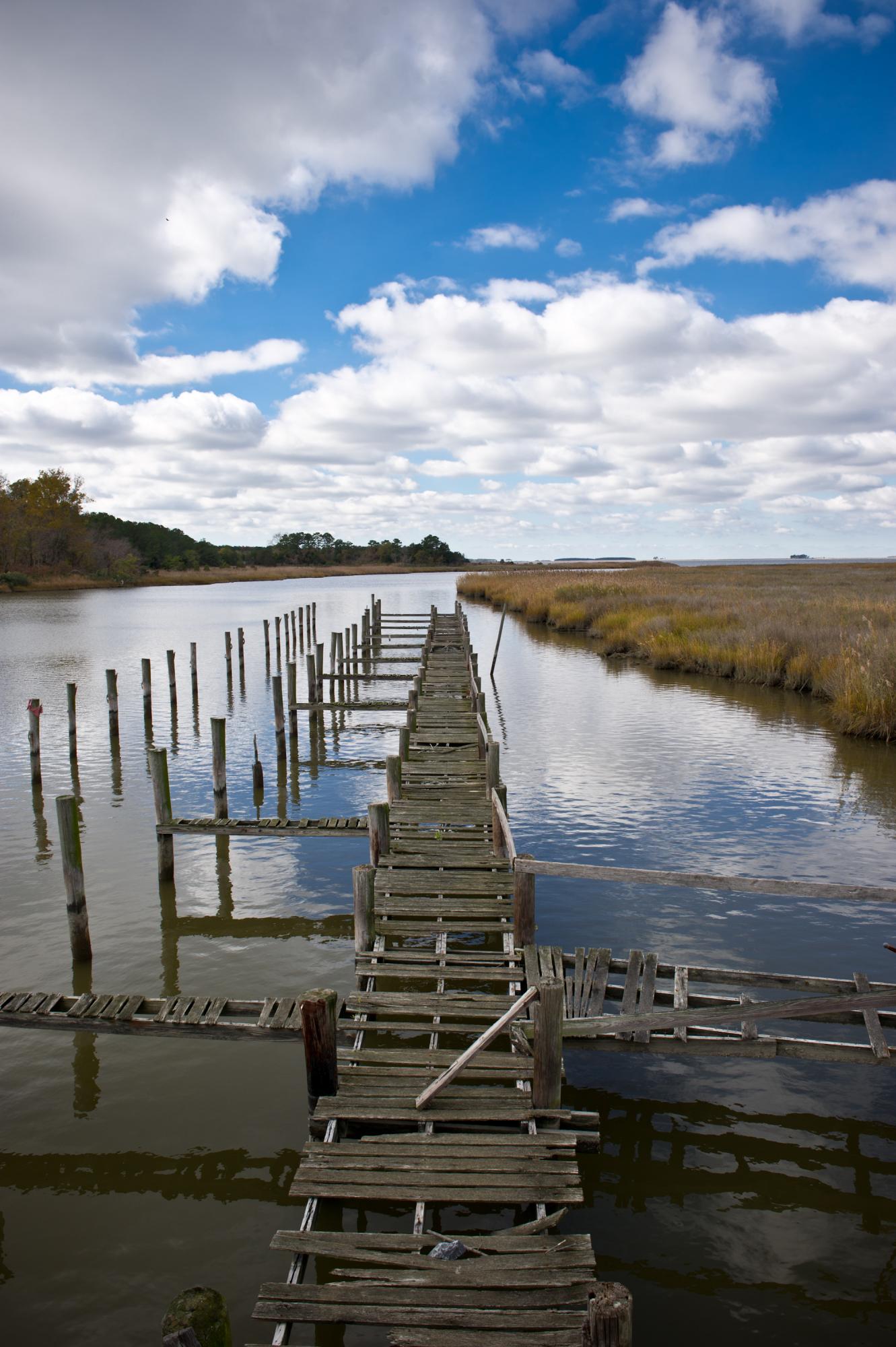 wetland