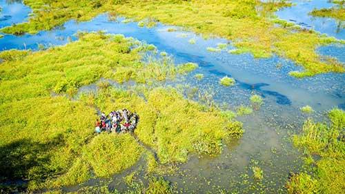 Wetlands aerial