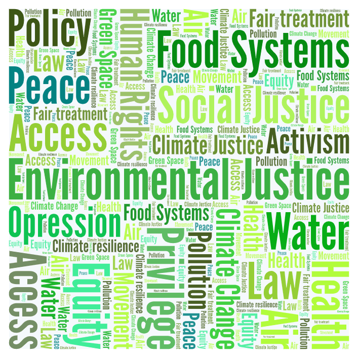 Environmental Justice  word cloud